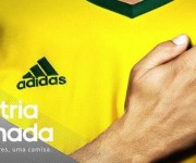 Camiseta-Palmeiras-amarilla-adidas-2013-grafica