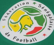 Camiseta Senegal PUMA 2014 02