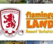 Middlesbrough Flamingo Land