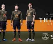 Camiseta Alternativa Umbro Everton 2015-16