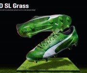 PUMA evoSPEED SL Grass