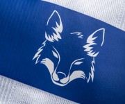 Camisetas Cruzeiro Umbro 2016 – Suplente – 3