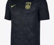 Camiseta alternativa Nike de China 2018