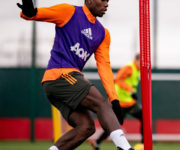 adidas Predator Freak Pogba Training