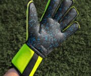 Review Reusch Attrakt Pro Fusion Advance