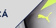 Banner BVB Away 25 26