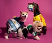 Camisetas adidas para mascotas