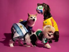 Camisetas adidas para mascotas
