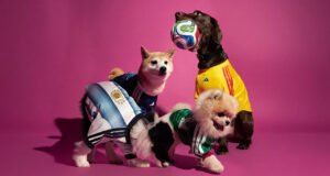 Camisetas adidas para mascotas