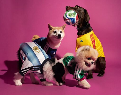 Camisetas adidas para mascotas
