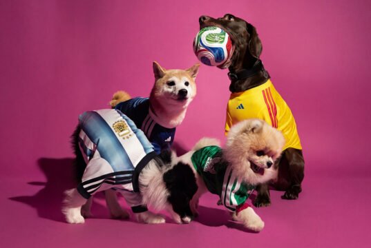 Camisetas adidas para mascotas
