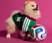Camisetas adidas para mascotas México