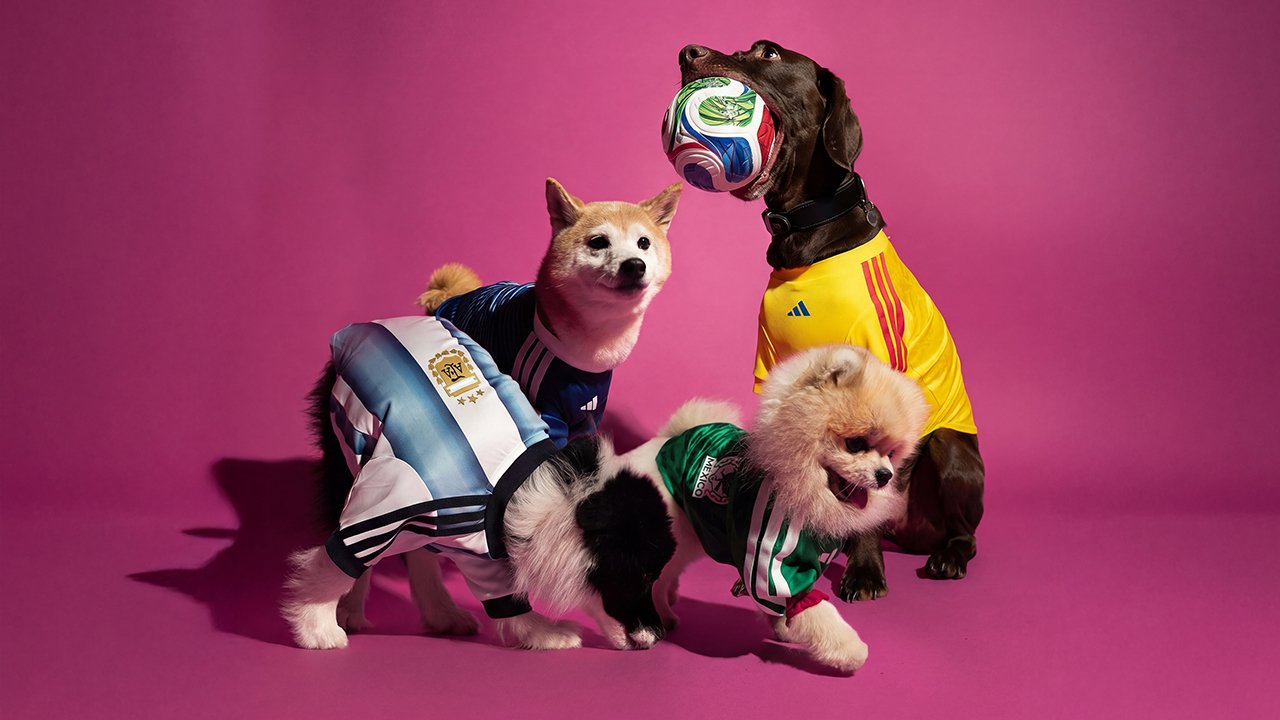 Camisetas adidas para mascotas: explota la ternura