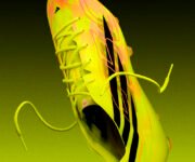 adidas F50 Hyperfast EVO