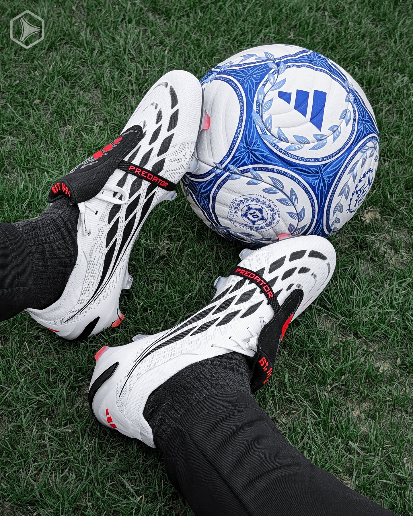 Botines adidas Chaos vs Control Predator Elite